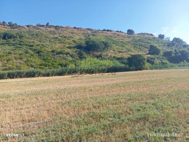Terreno in vendita a Calabria, Cosenza