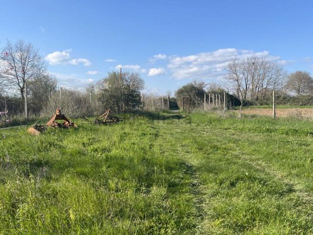 Terreno in vendita a Piansano, Lazio