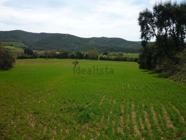 Terreno in vendita a Maiano Lavacchio, Magliano in Toscana