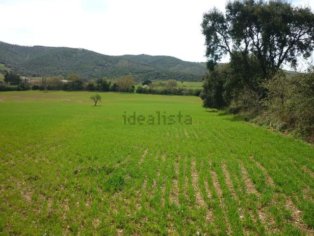Terreno in vendita a Maiano Lavacchio, Magliano In Toscana