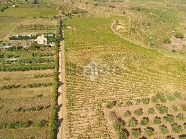 Terreno in vendita a Alcamo, Trapani