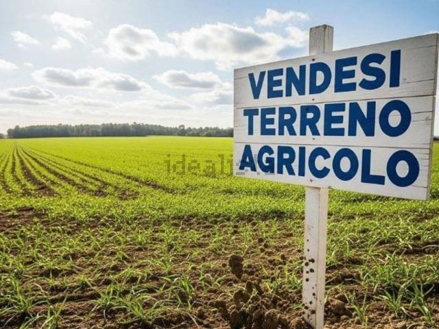 Terreno in vendita a Agna, Padova