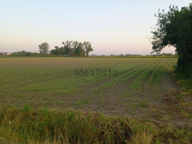 Terreno in vendita a Unione dei comuni della Bassa Romagna, Conselice