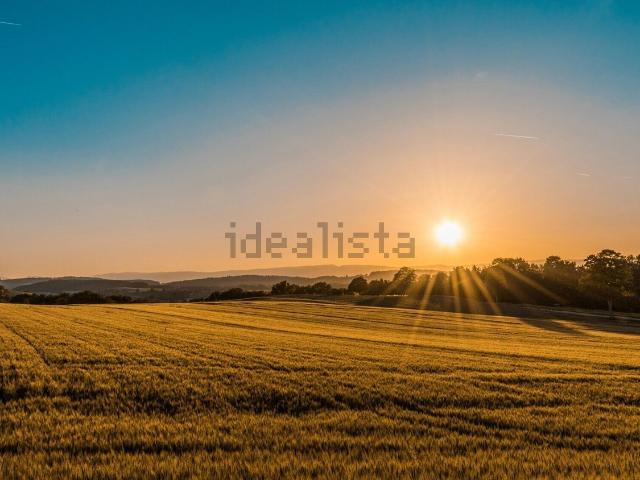 Terreno in vendita a Cartura, Veneto