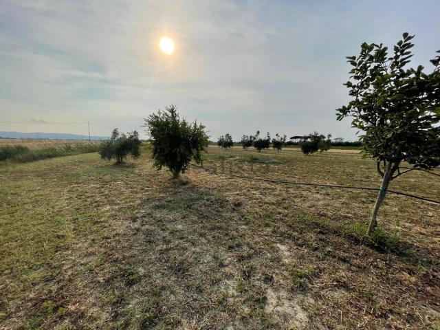 Terreno in vendita a Campiglia Marittima, Toscana
