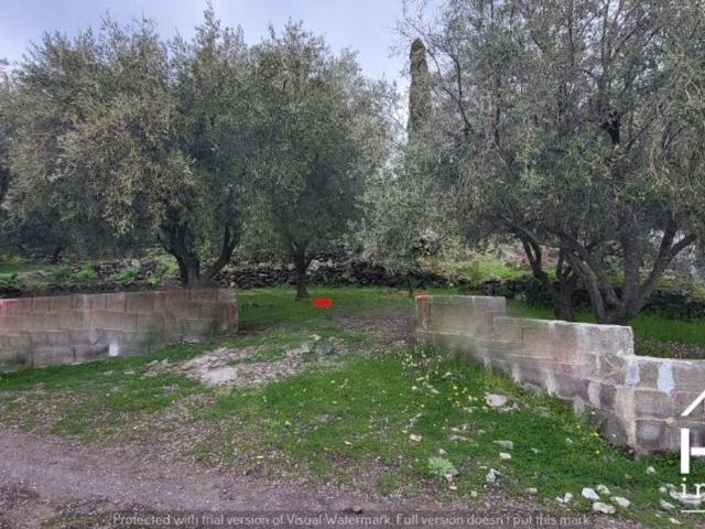 Terreno in vendita a Santa Maria Di Licodia, Sicilia