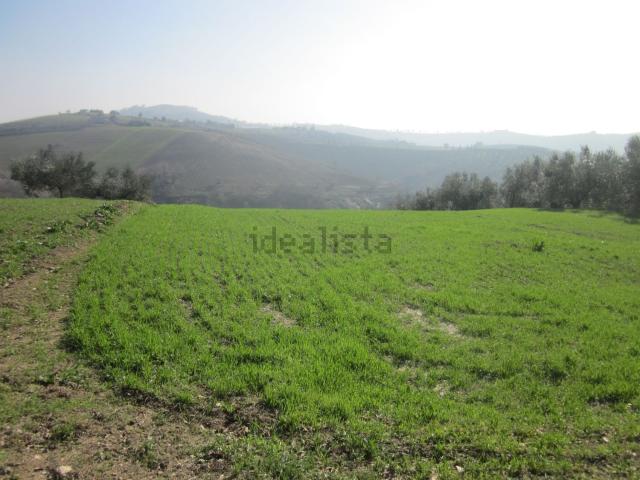 Terreno in vendita a Elice, Abruzzo