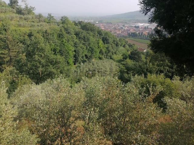 Terreno in vendita a Tregnago, Veneto