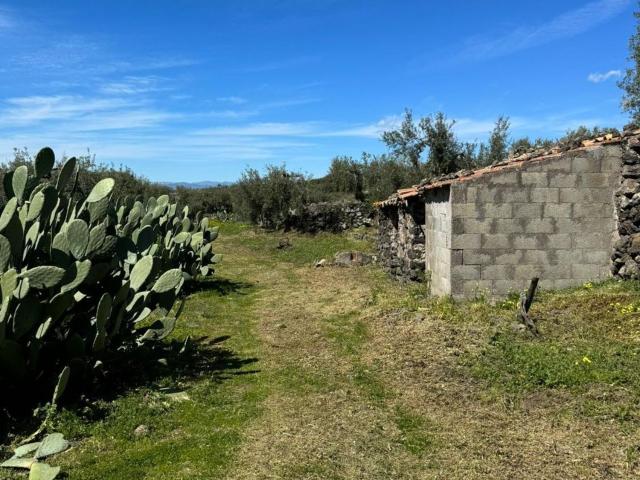 Terreno in vendita a Santa Maria Di Licodia, Sicilia