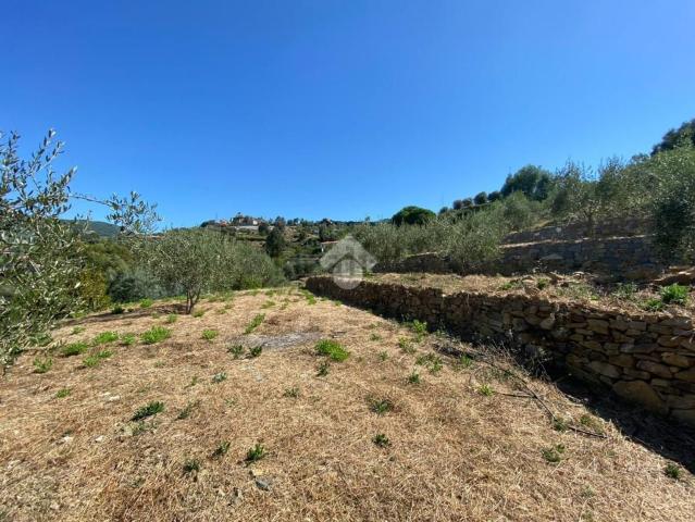 Terreno in vendita a Bordighera, Liguria