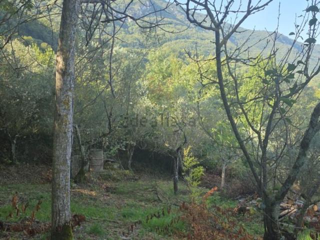 Terreno in vendita a Sgurgola, Lazio