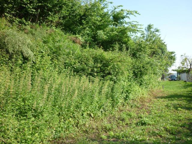 Terreno in vendita a Atripalda, Campania