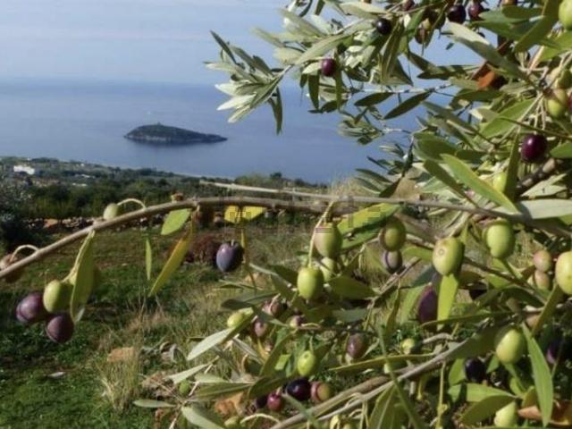 Terreno in vendita a Calabria, Cosenza