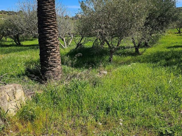 Terreno in vendita a Caltanissetta, Sicilia