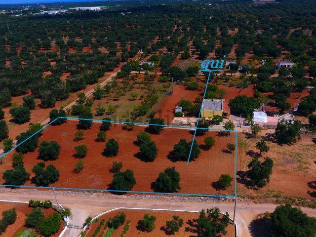Terreno in vendita a Puglia, Brindisi