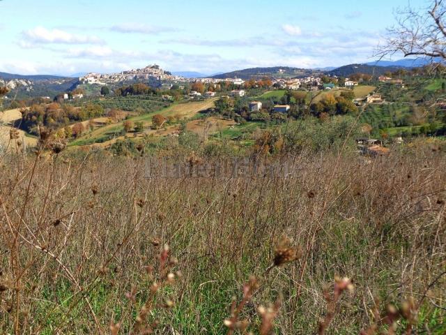 Terreno in vendita a Montenero, Amelia