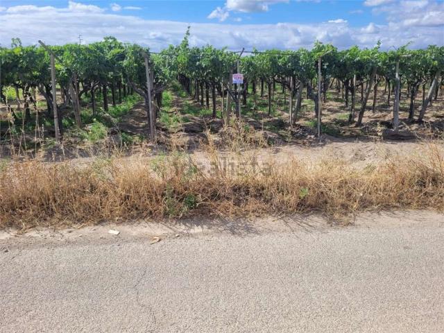 Terreno in vendita a Puglia, Foggia