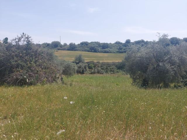 Terreno in vendita a Siracusa, Sicilia