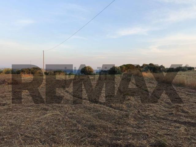 Terreno in vendita a Caltagirone, Sicilia