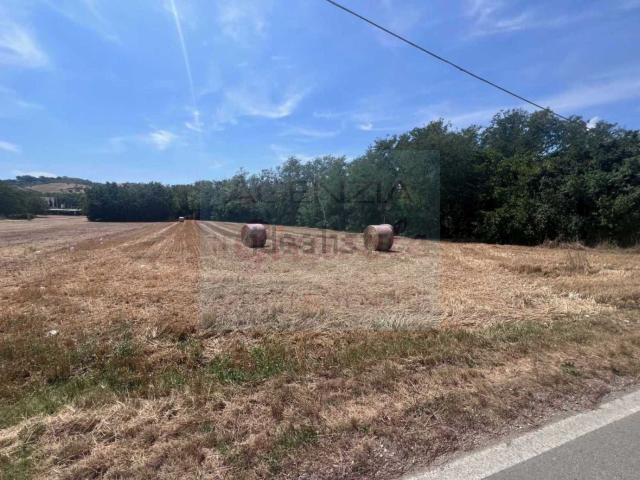 Terreno in vendita a Unione dei Comuni della Val Vibrata, Alba Adriatica