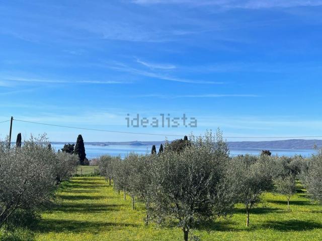 Terreno in vendita a Bolsena, Lazio