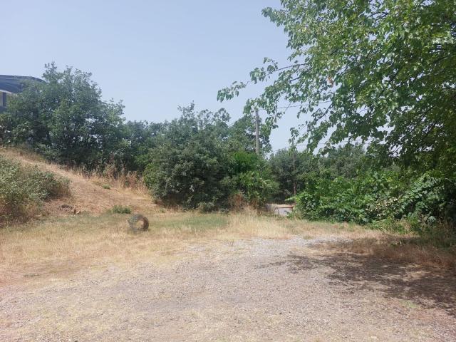 Terreno in vendita a Montalto Uffugo, Cosenza