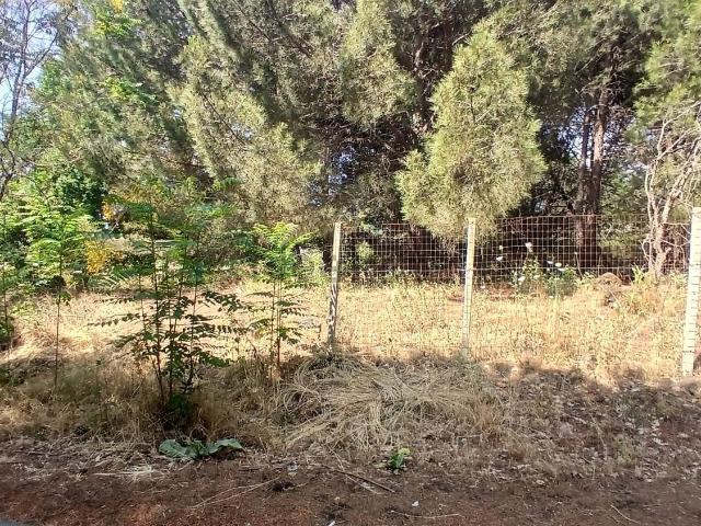 Terreno in vendita a Ragala, Nicolosi