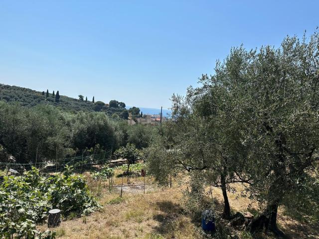 Terreno in vendita a Imperia, Liguria