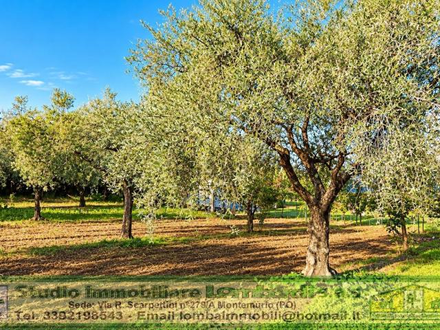 Terreno in vendita a Maliseti, Prato