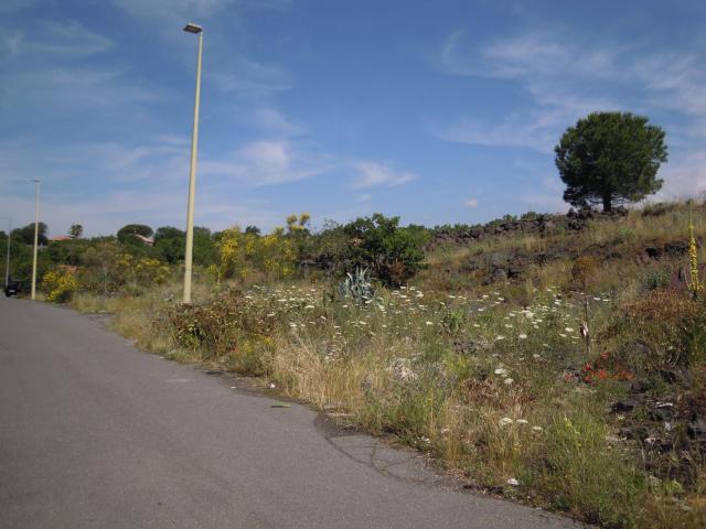 Terreno in vendita a Belpasso, Sicilia