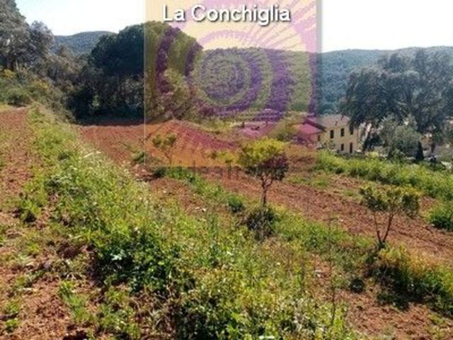 Terreno in vendita a Bagnaia, Rio
