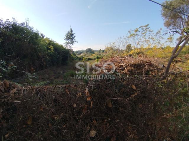 Terreno in vendita a Pisano, Zafferana Etnea