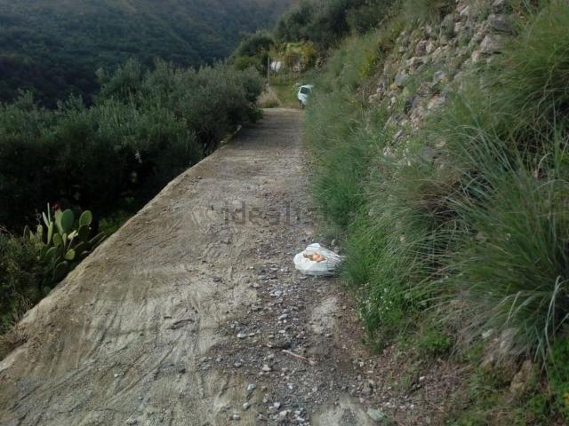 Terreno in vendita a I Circoscrizione, Messina