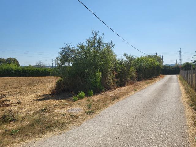 Terreno in vendita a Nepi, Lazio