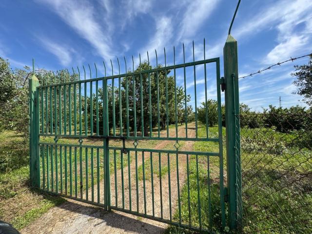 Terreno in vendita a Gallese, Lazio