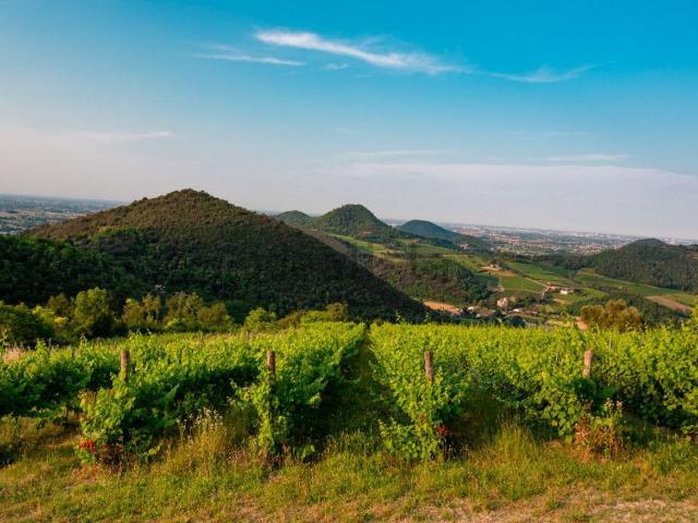 Terreno in vendita a Torreglia, Veneto