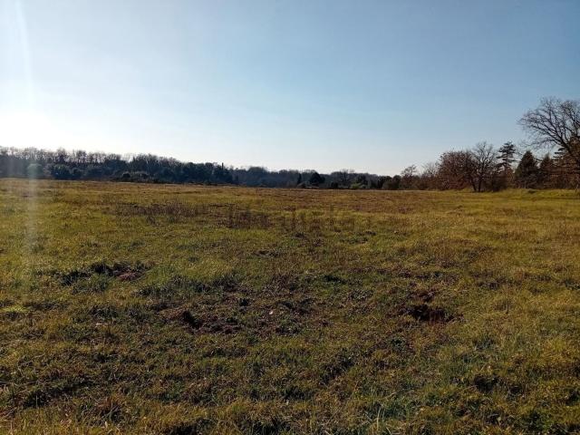 Terreno in vendita a Colle Farnese, Nepi