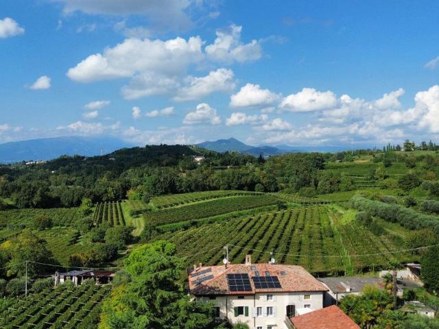 Terreno in vendita a Bussolengo, Veneto