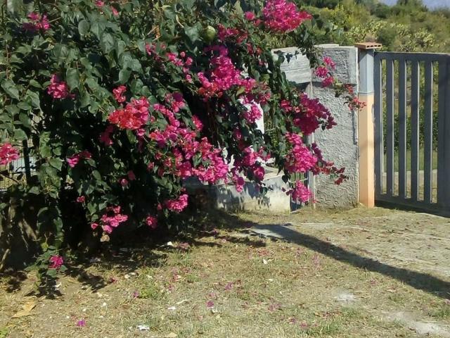 Terreno in vendita a Paoli, Giarre