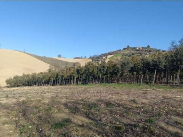 Terreno in vendita a Cabiano, Ripatransone