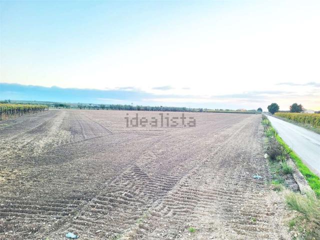 Terreno in vendita a Puglia, Foggia