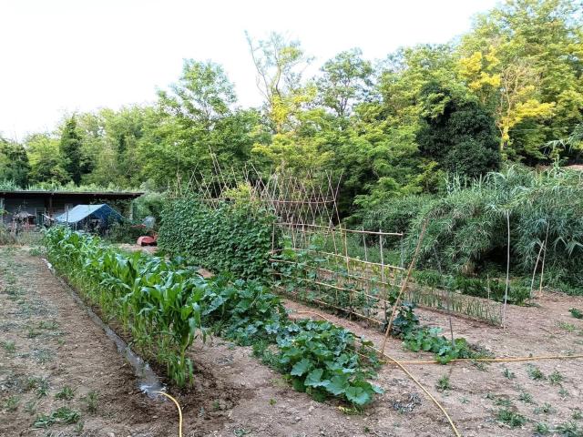Terreno in vendita a Fossato, Ortona