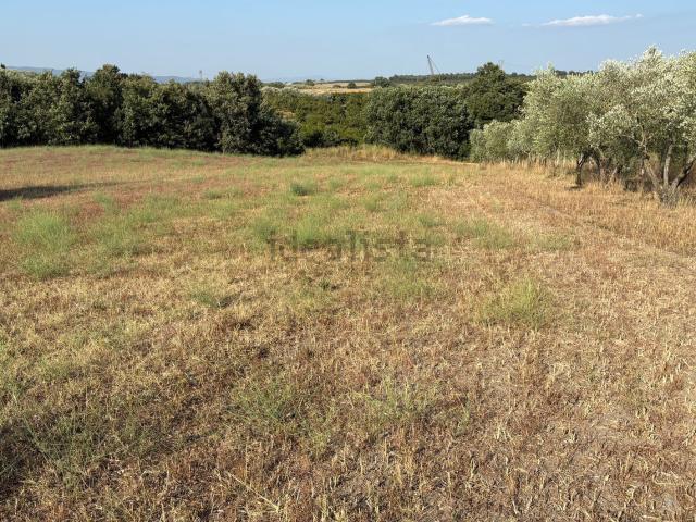 Terreno in vendita a Soriano Nel Cimino, Lazio