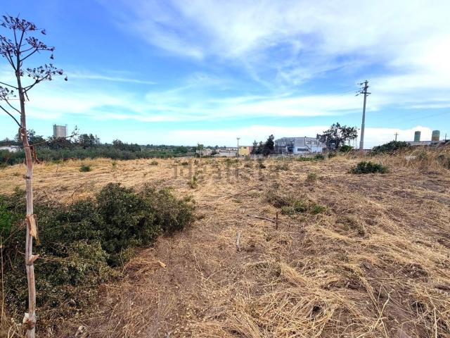 Terreno in vendita a Puglia, Foggia