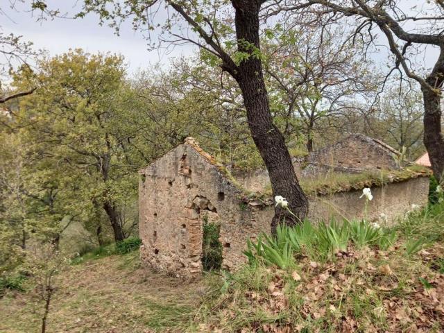 Terreno in vendita a Vibo Valentia