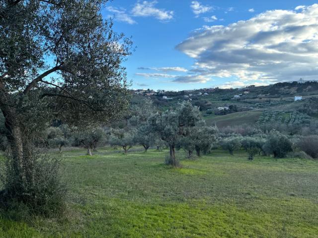 Terreno in vendita a Montesilvano, Abruzzo