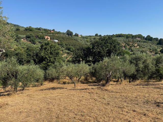 Terreno in vendita a Soriano Nel Cimino, Lazio