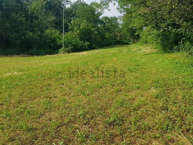 Terreno in vendita a Divignano, Novara