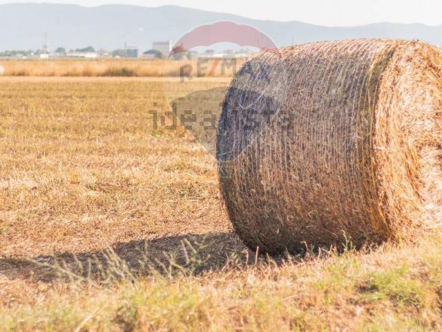 Terreno in vendita a Orbetello, Toscana