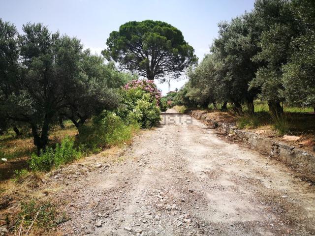 Terreno in vendita a Campogrande, Tripi
